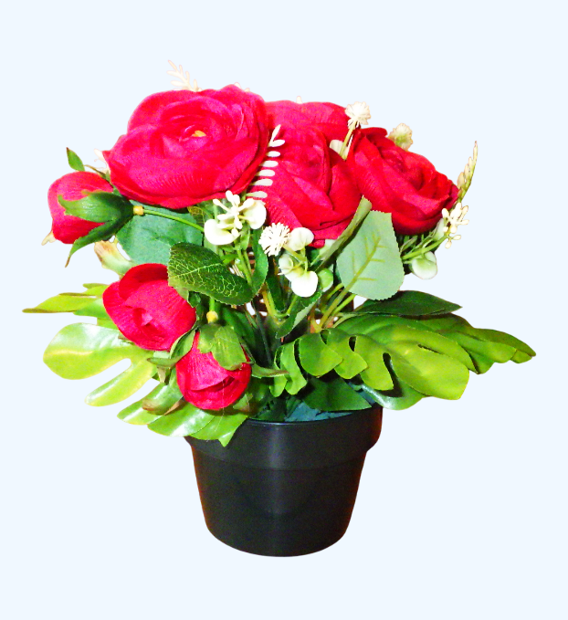 Miniature : POT 12 - 1