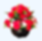 GCP OCEA 3.png