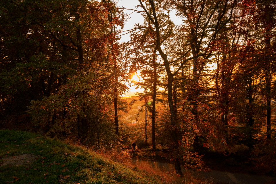 Grief Beyond Death: Understanding Ambiguous and Disenfranchised Loss