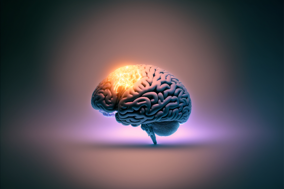 Applied Neuroscience for Counsellors: How Brain Science Informs Therapy