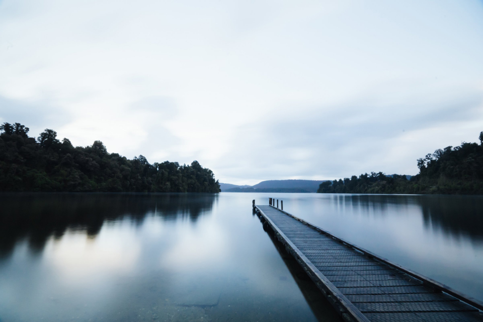 Trauma-Informed Training in Ireland: Principles for Counselling Practice