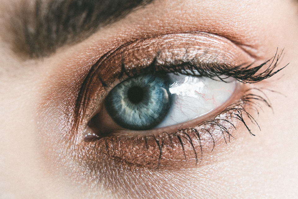 EMDR Training in Ireland: The Eight Phases and EMDR-Informed Practice