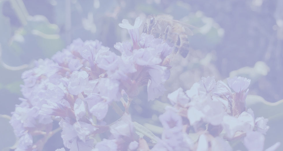 20191031_162158_edited.jpg
