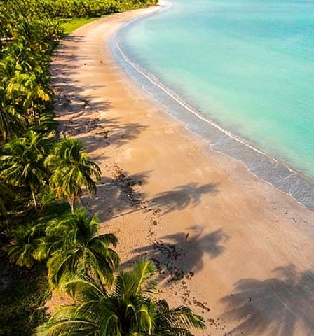 Português Via Brasil 第3版　2022 Amazon.com: Portugues Via Brasil: Um Curso Avancado Para