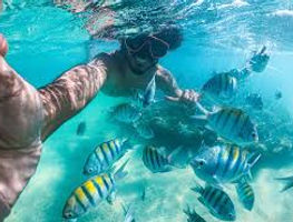 Transparant water in Maragogi Alagoas Brazil