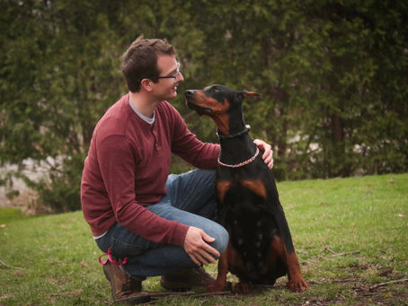 Choosing the Right Breeds for Family Companions