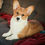 Thumbnail: Steele -Pembroke Welsh Corgi