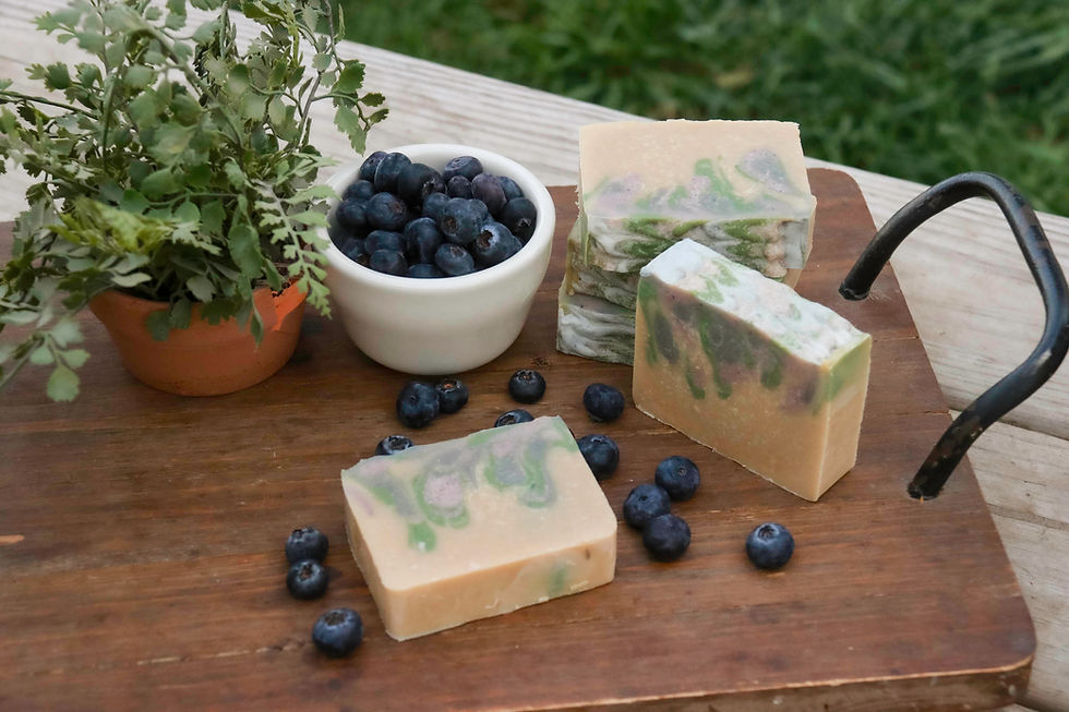 Thumbnail: Blueberry Thyme