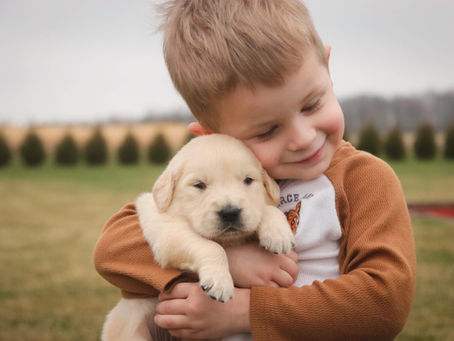 The Benefits of Companion Dogs in Family Life