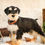 Thumbnail: Johann- Mini Schnauzer