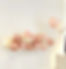 A3D2B9FD-E840-4855-BBF6-A9BC0664B4D4_edited.jpg