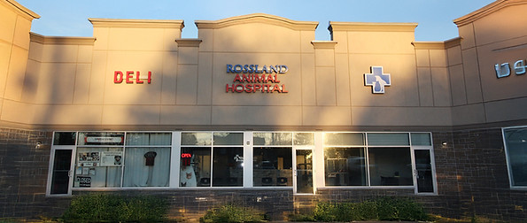 Storefront.jpg
