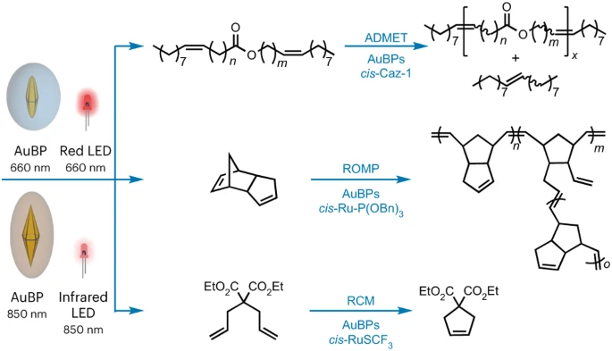 Nature Chemistry.webp
