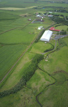 65392309_2575675459326230_8873791145256157184_n (1).jpg