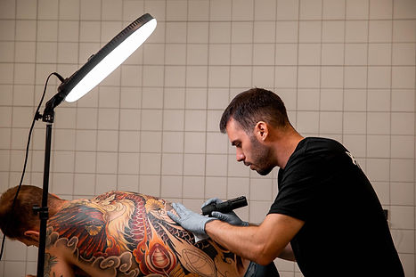 Hornet EDS profile.jpg