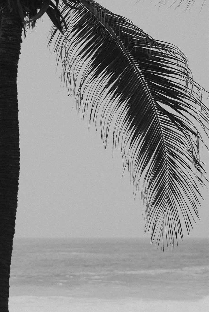 Mesa de trabajo 1FOTOS-DESTIN-5.jpg