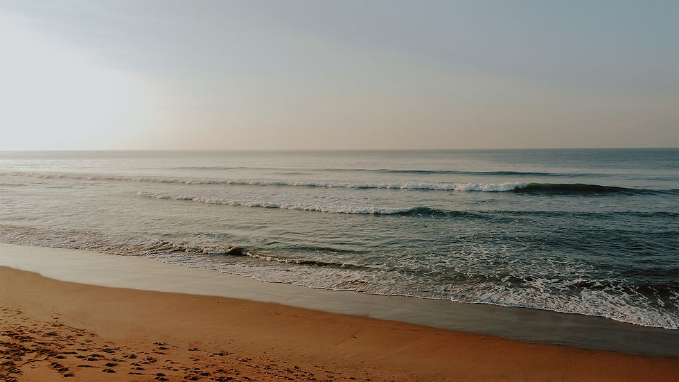 Mesa de trabajo 1FOTOS-DESTIN-3.jpg