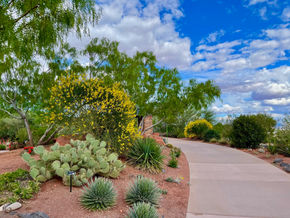 The Crack at Pioneer Park & Owens Loop