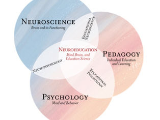 Neuroscience and Education: Teachers’ Perceptions and Misconceptions Regarding the Biological Basis