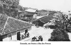 Concedida por Nadi Tomaz