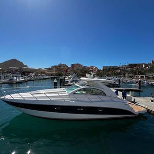 Snorkeling gear
Fishing gear
water toys
food and beverages                 up to 8 people ( max 15)
additional hour: 400 us
additional guest: 90 us