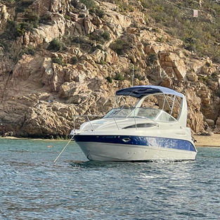 Snorkeling gear
Fishing gear
water toys
food and beverages                 up to 6 people (max 8)
adicional hour: 200 us
aditional guest: 90 us