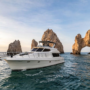 Snorkeling gear
Fishing gear
water toys
food and beverages    
Private transportation                        up to 8 people ( max 12)
additional hour: 600 us
additional guest: 90 us
