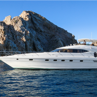 Snorkeling gear
Fishing gear
water toys
food and beverages
Private Transportation up to 8 people ( max 18)
additional hour: 800 us
additional guest: 120 us