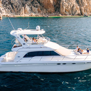 Snorkeling gear
Fishing gear
water toys
food and beverages    
Round trip transportation             up to 8 people ( max 18)
additional hour: 400 us
additional guest: 90 us