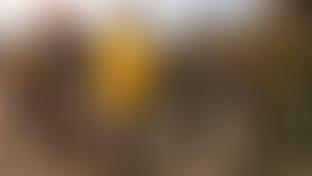 Fallece brigadista cuando  realizaban trabajos en el incendio forestal de Chilpancingo. 