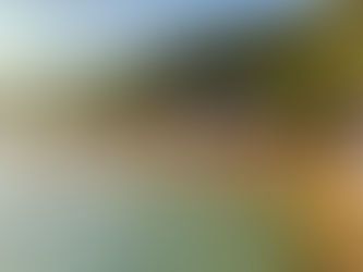 Con 7 mil 500 participantes dio inicio el Maratón Internacional Acapulco