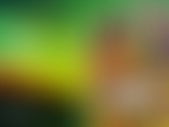 Suis-je sage ou insensé? 8 décembre