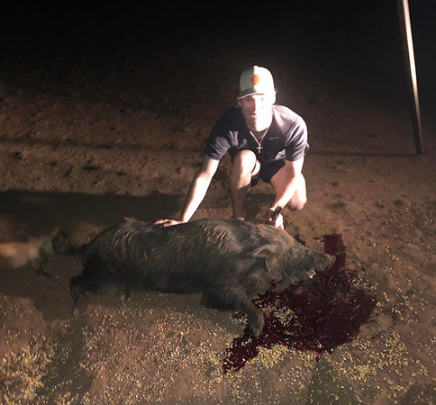 Texas hog hunt