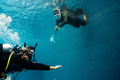 koh tao , thailand , diving , instructor , instructor development course , PADI Pro Courses , divemaster , scuba diving 