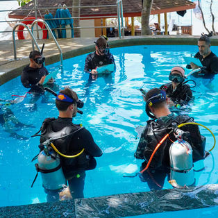 koh tao , thailand , diving , instructor , instructor , development course , PADI Pro Courses , divemaster , scuba diving , staff 