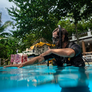 koh tao , thailand , diving , instructor , instructor , development course , PADI Pro Courses , divemaster , scuba diving , staff 