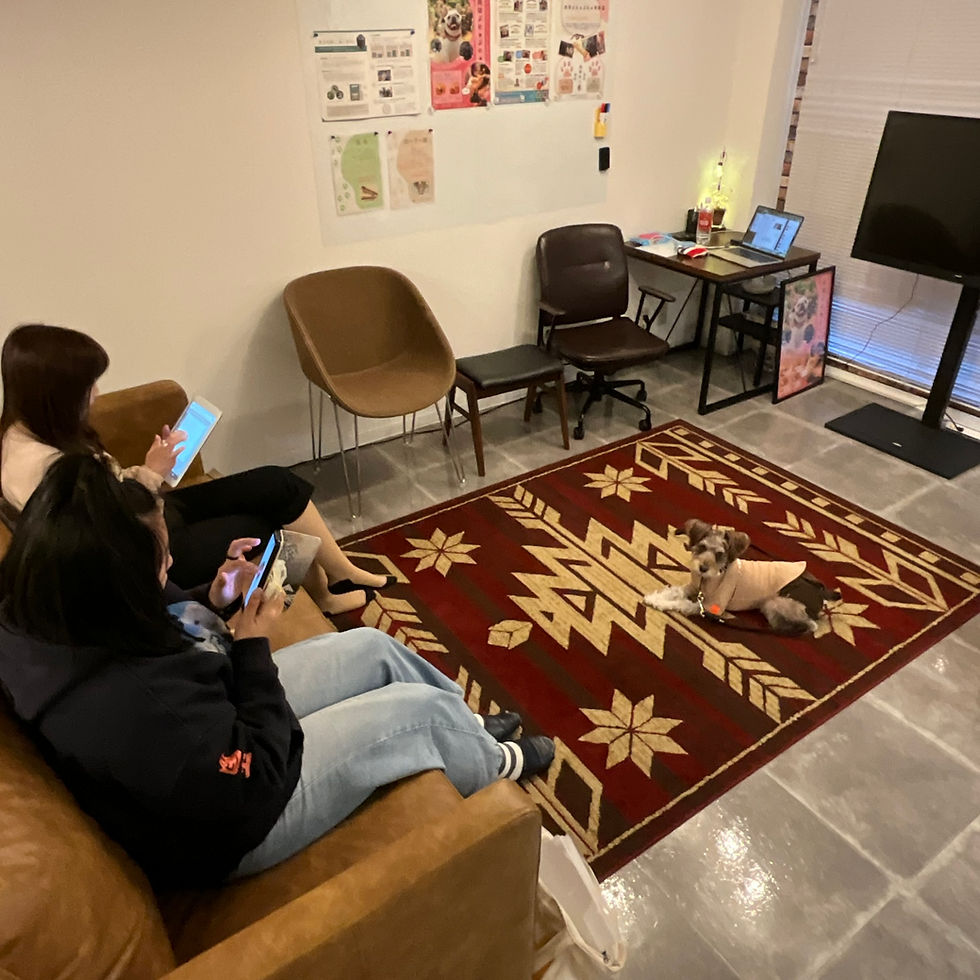 [1/25会場開催] アニマルコミュニケーション講座説明会｜横浜元町