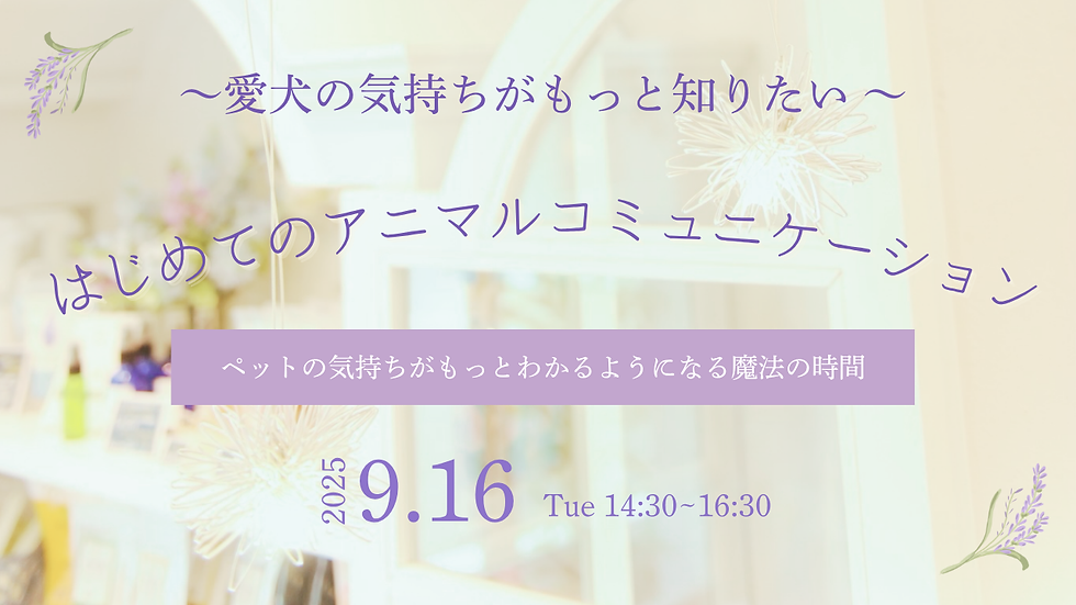 【対面開催】ペットの気持ちがもっとわかるようになる｜9/16（14:30-16:30）
