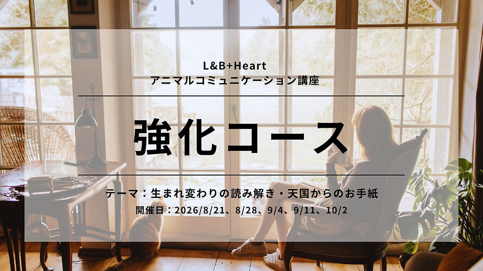 8/21-10/2|AC強化コース/生まれ変わりの読み解き・天国からの手紙