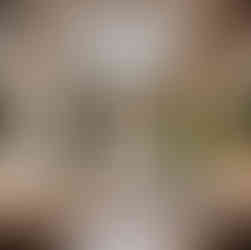 Image Credit by Casa Design Studio