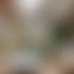 Image Credit by Casa Design Studio