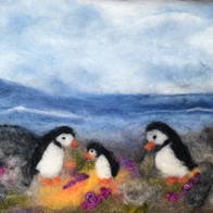 Puffin Family