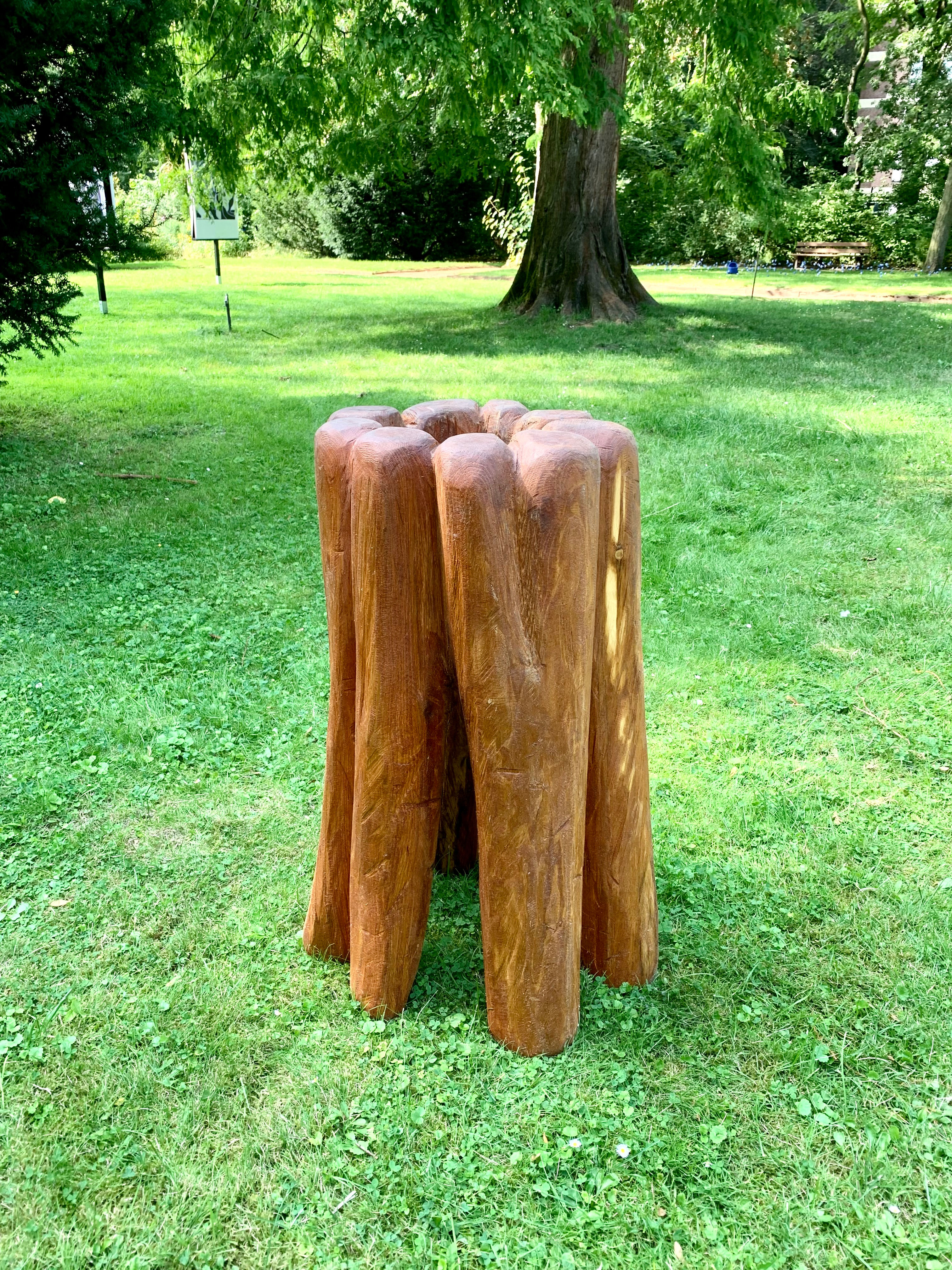 Hausmann, Till - AMEISENBURG