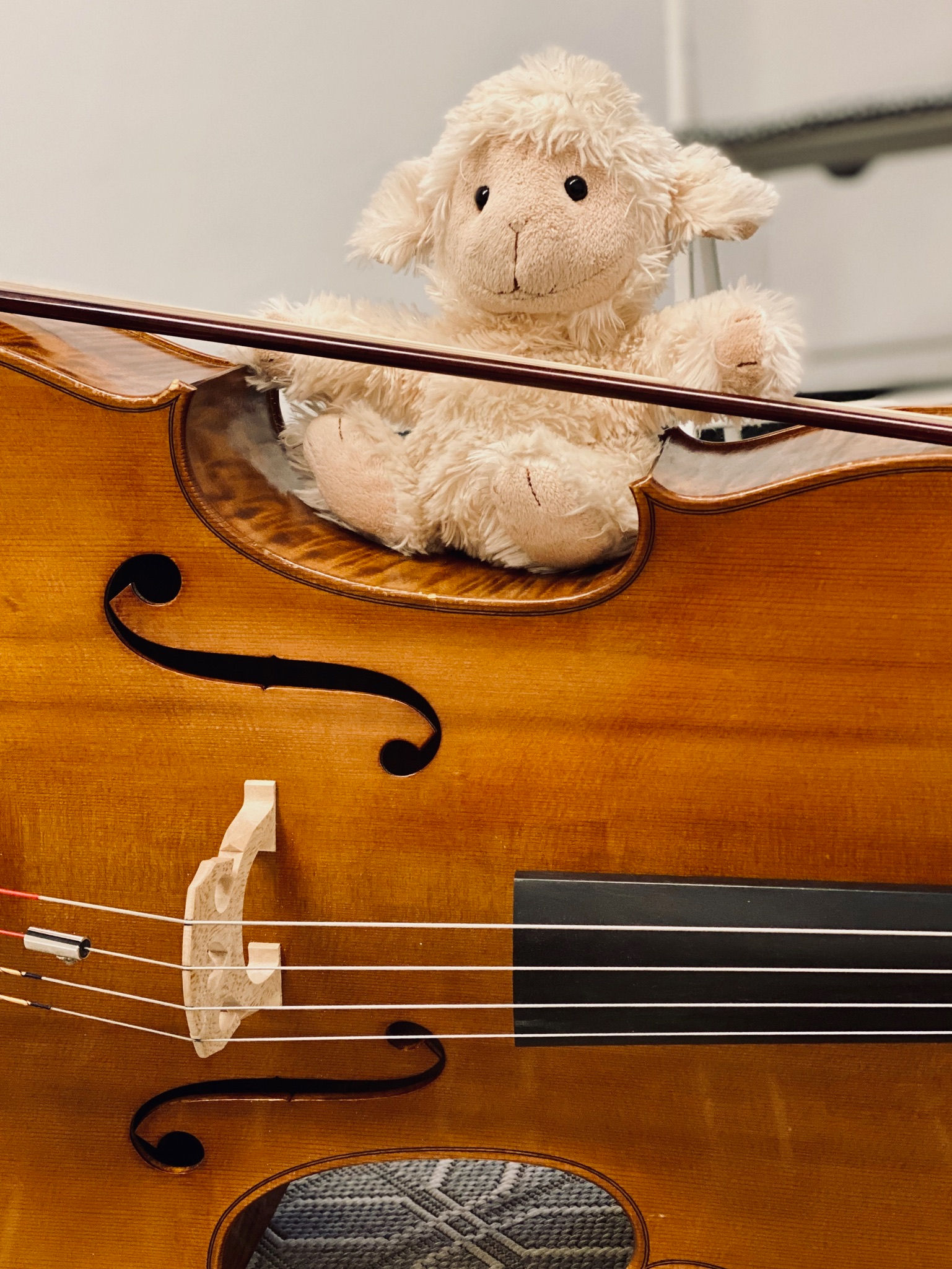 Cello für Kinder