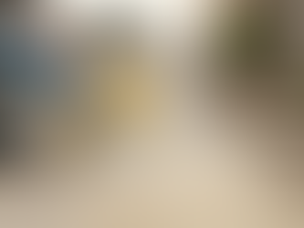 Discover the Amazing Carpet Cleaning Benefits with Professional Services!