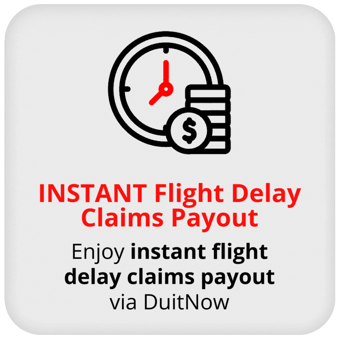 INSTANT flight delay claims payout with Travel Easy Insurance.