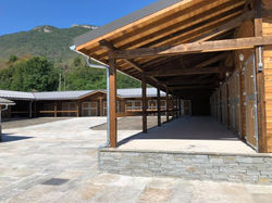 118006453_1213024812383506_5571704601510