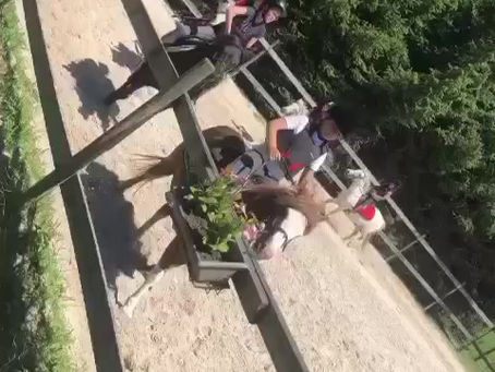 Envie de passer l’été à l’Écurie DLM avec Nous ?♥️♥️♥️♥️♥️