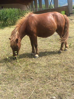 64932676_386951248882747_705934749484030