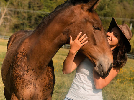 Avoir un Cheval sans les inconvénients d'être propriétaire ...?